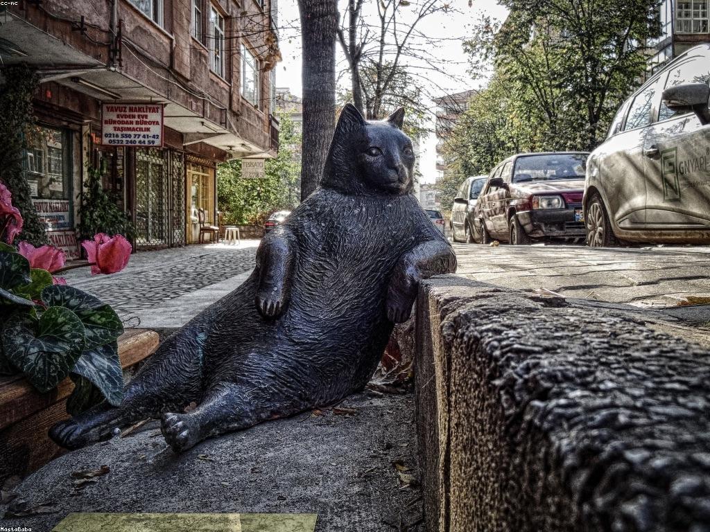 សំណួរញឹកញាប់៖ មើលឃើញនូវចម្លើយសំខាន់ៗ